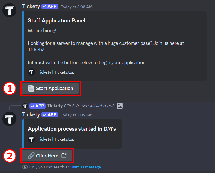 Newly created Application Panel on Discord